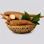 Cassava Farm