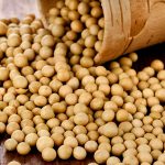 Soyabean Farm